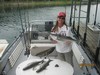 (05/26/2014) - Nice Striped Bass